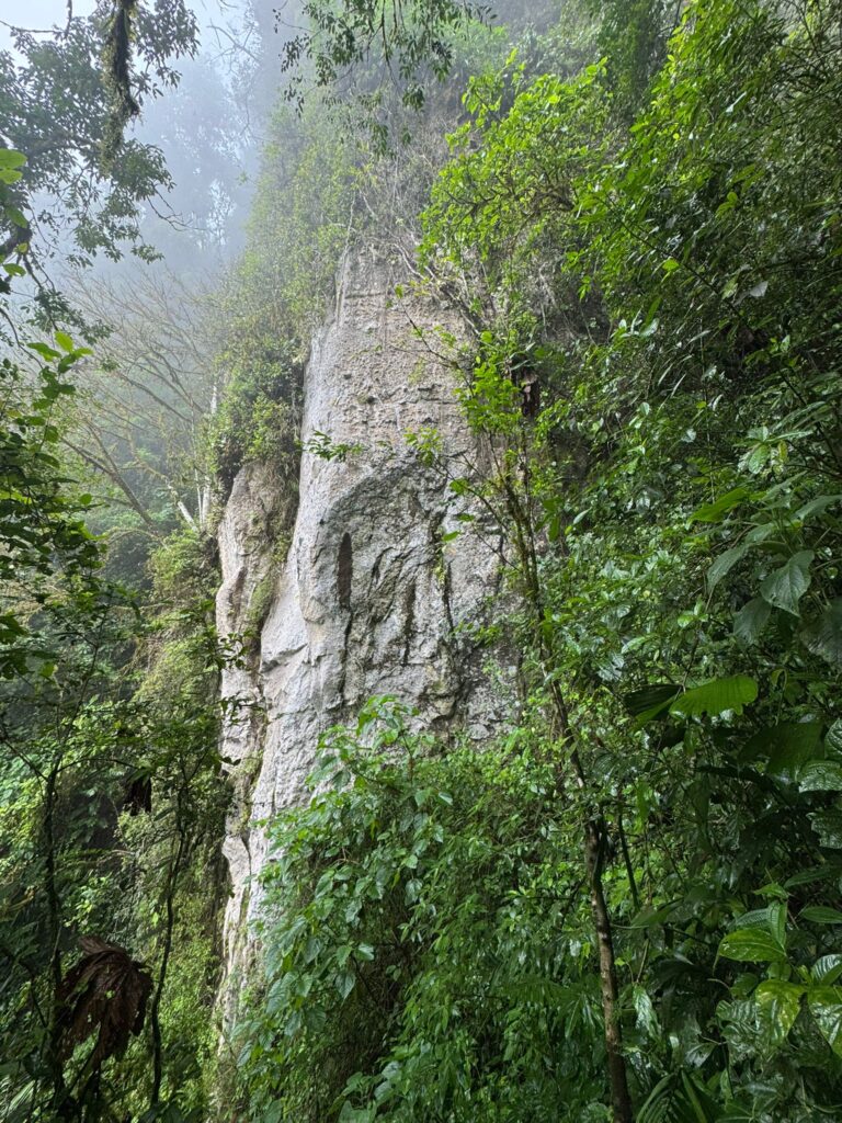 Macizo de Penas Blancas - Cloud Forest