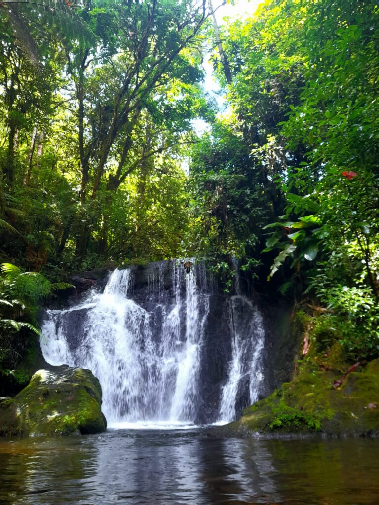 Macizo de Penas Blancas - Waterfall